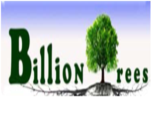 Billion Tree Plantation